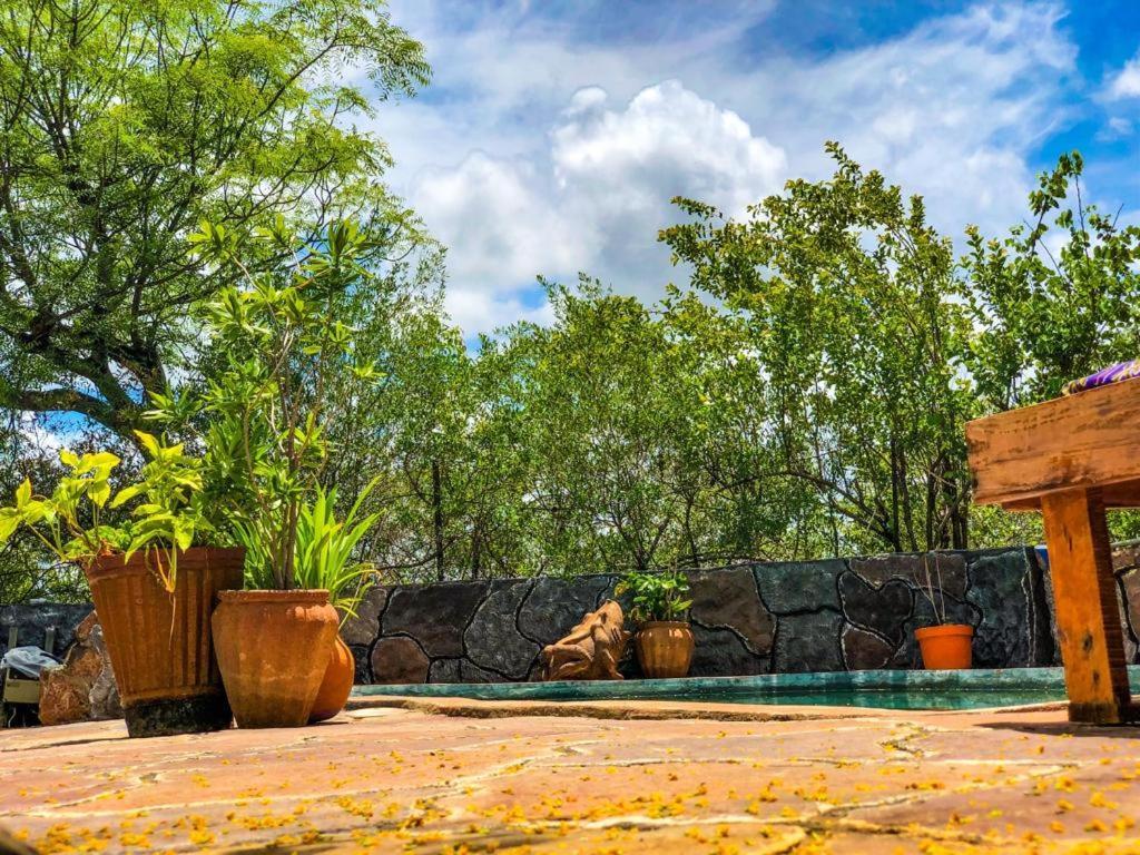 Lesoma Valley Lodge Касане Екстер'єр фото